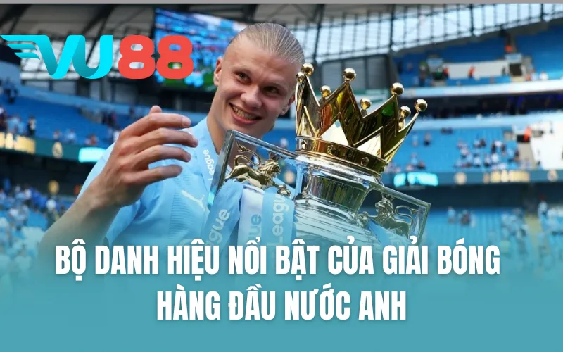 Bộ danh hiệu nổi bật của giải bóng hàng đầu nước Anh