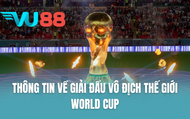 Thông tin về giải đấu vô địch thế giới - World Cup